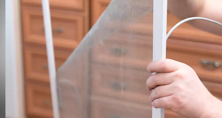 Privacy Mesh Screen Door Installation in Sanford, FL